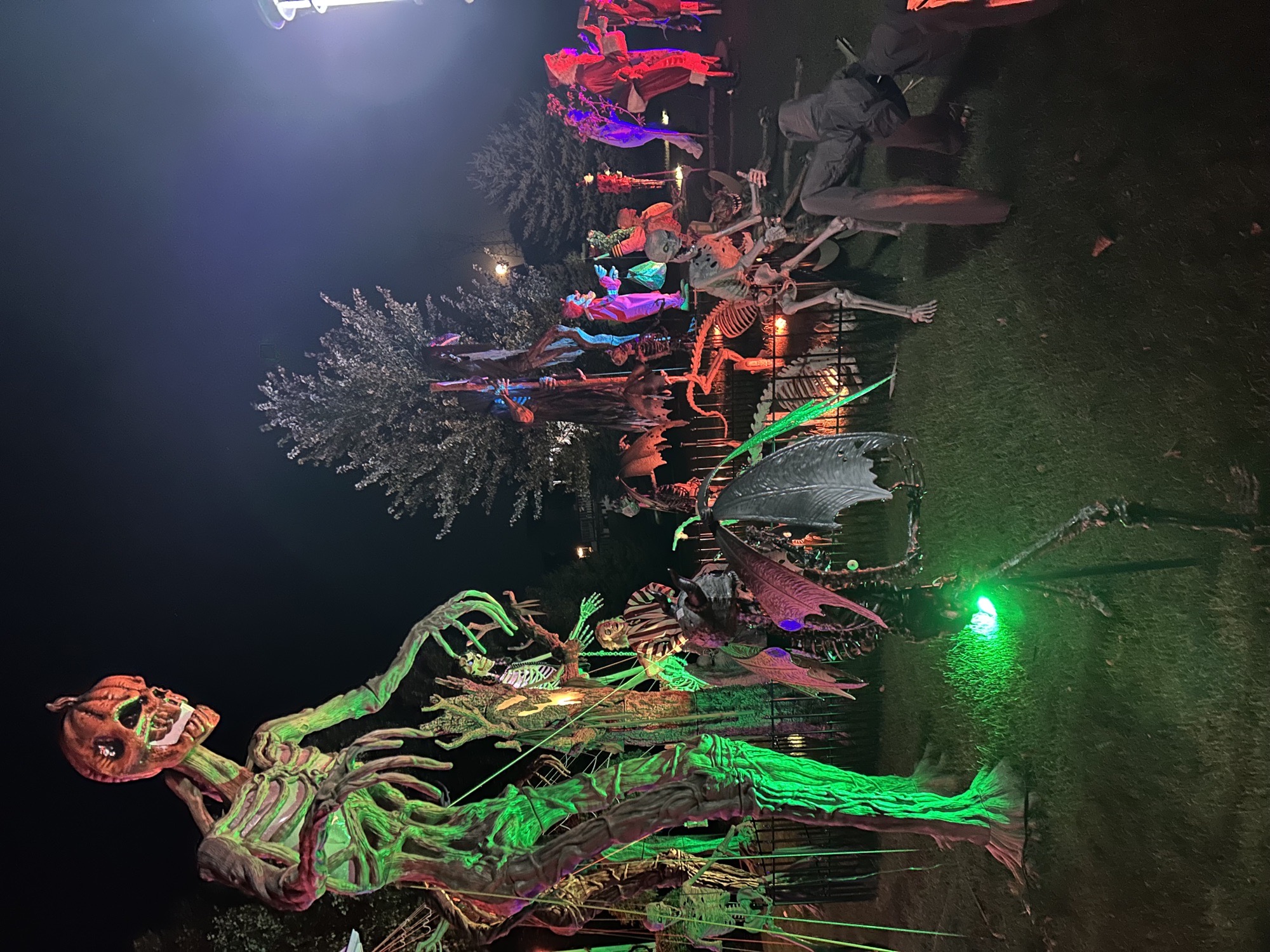 Halloween on Zacharie Drive
