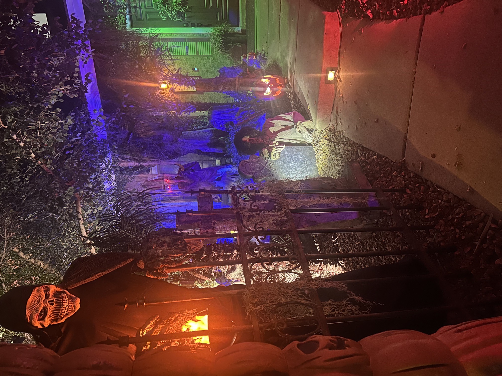 Canary Manor