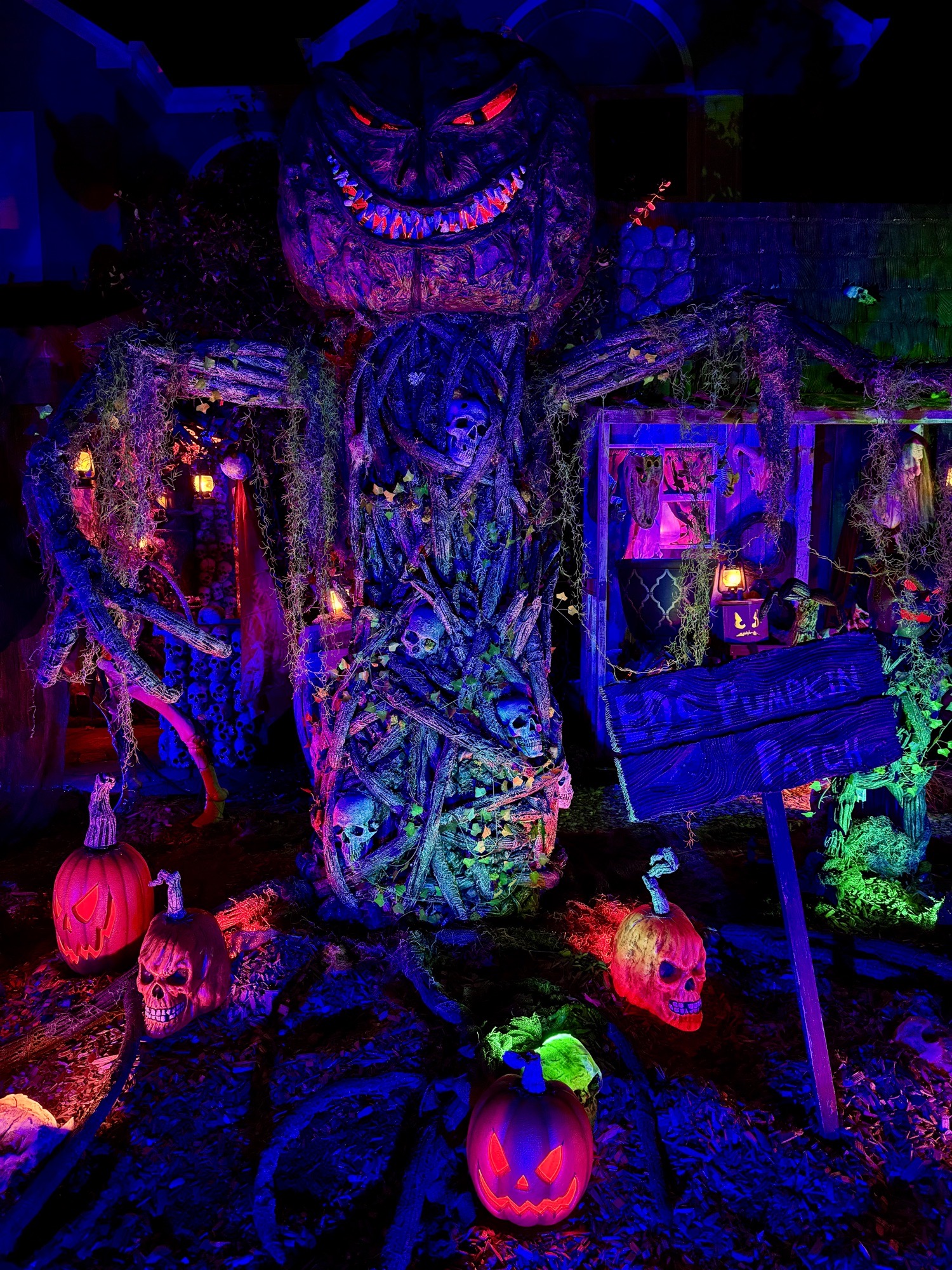 Dark Shadows Haunt