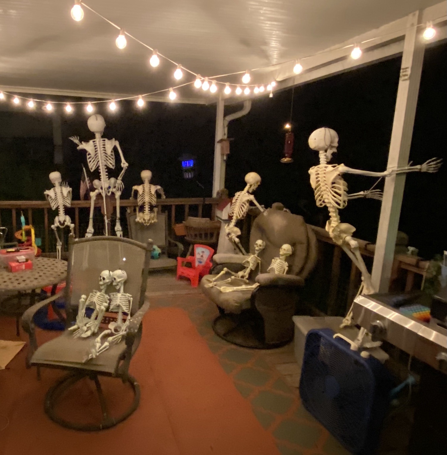 Skelly Crew Welcomes You