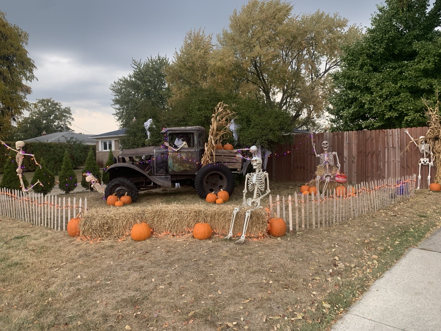 Skeleton Alley