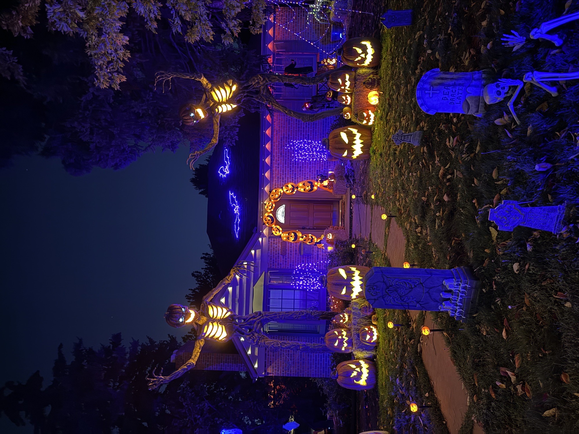 Haunted House On Holly