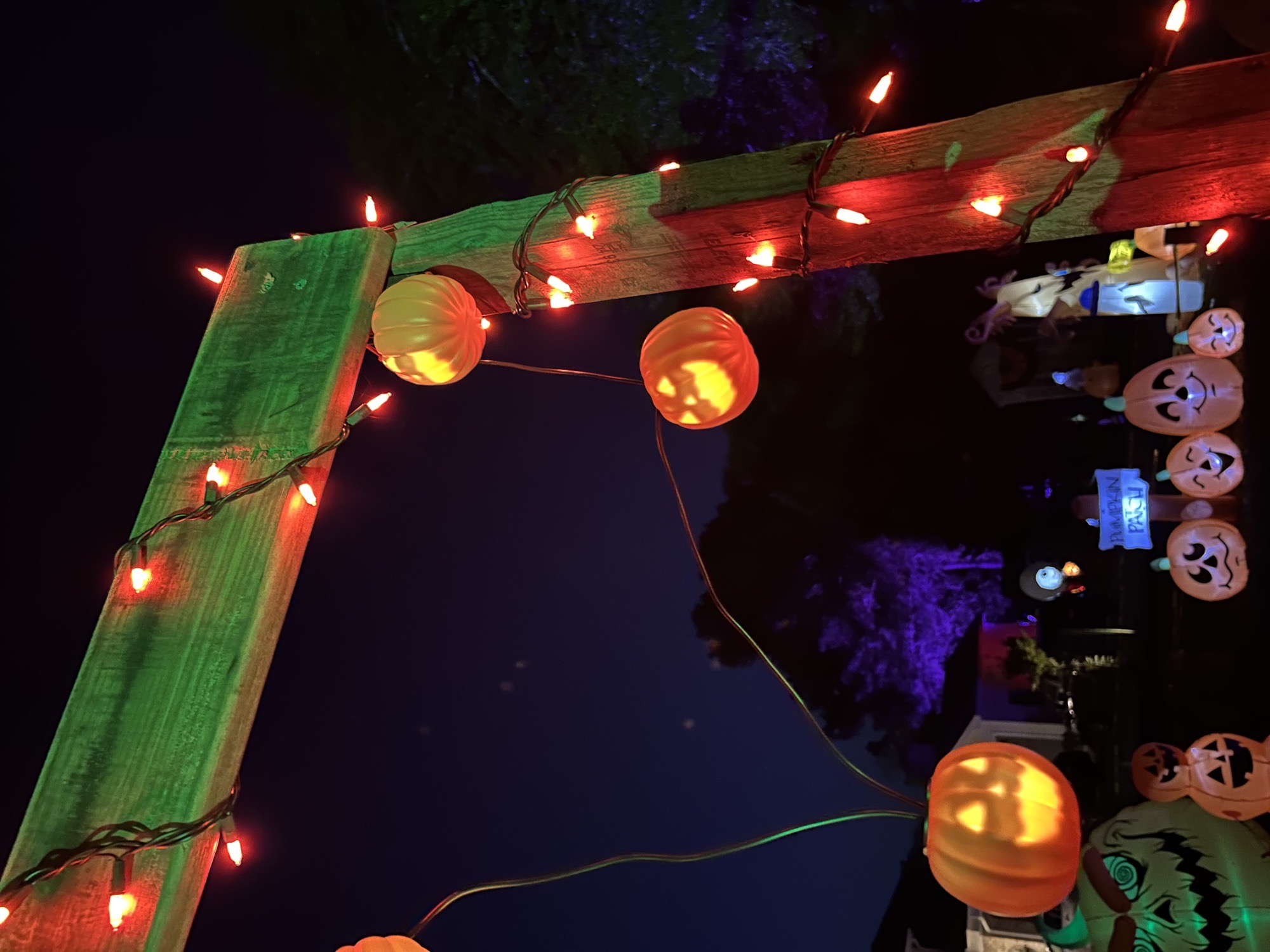 Halloween Haunt Display