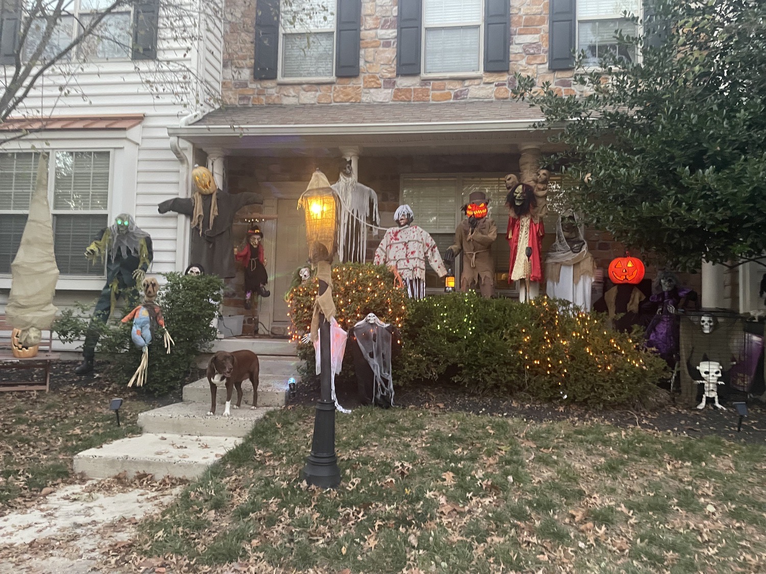 Townhouse Of Horror