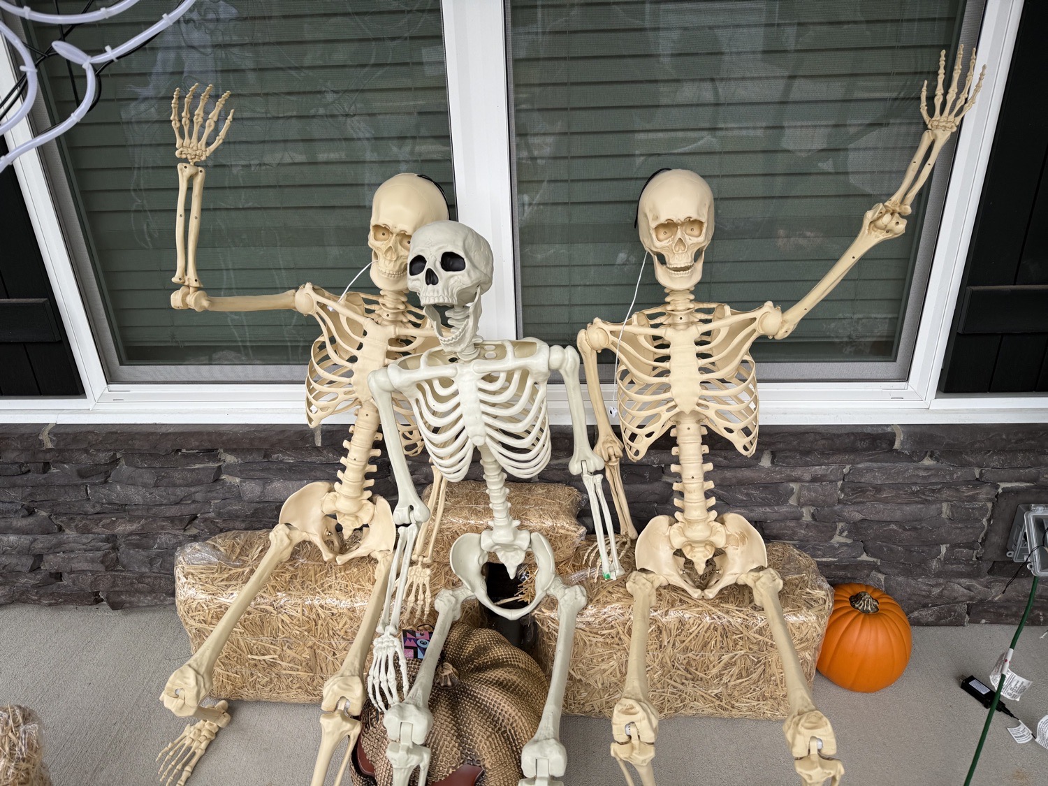 Spooky Skeletons