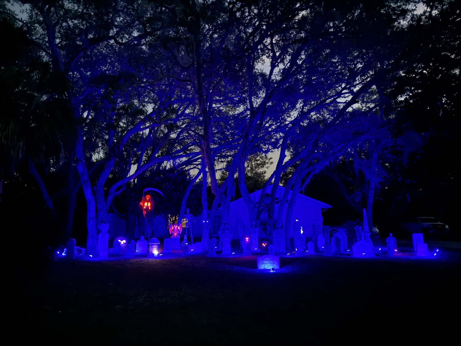 Olympia Street Graveyard