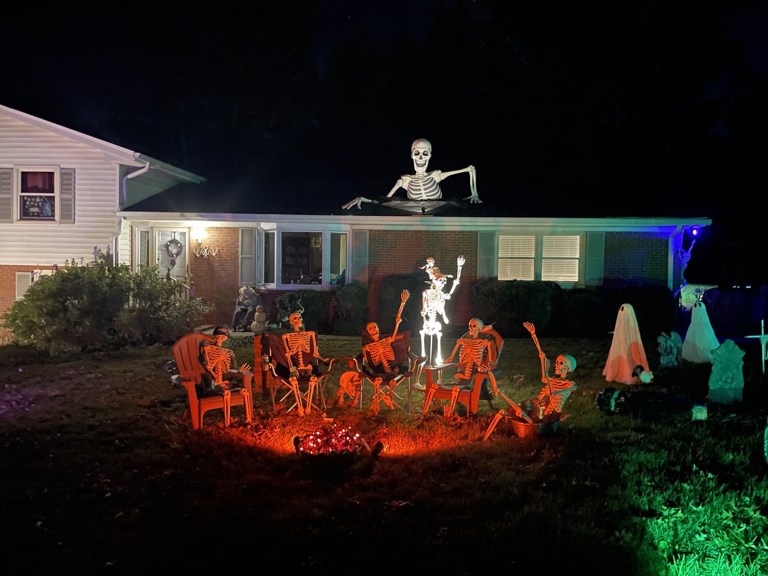 Skelly Bone-nanza!