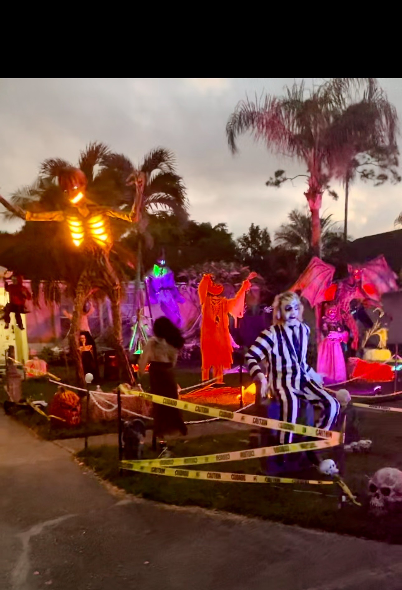 Haunted Yard On Queens Lane
