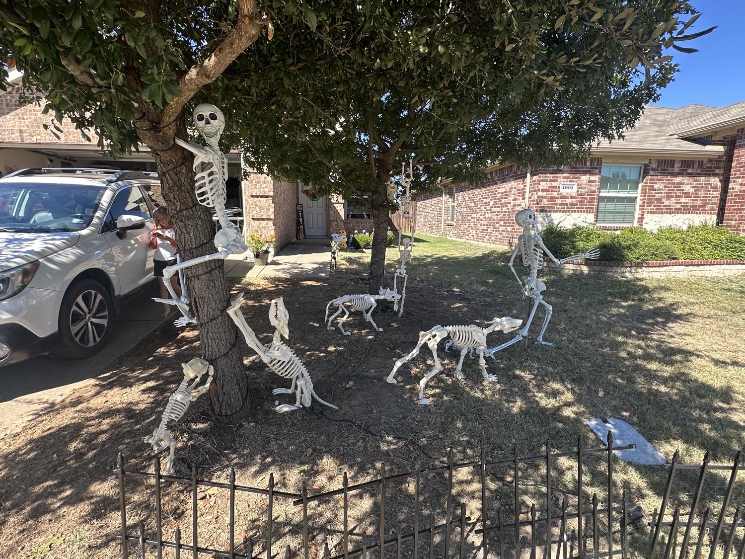 Skeletons
