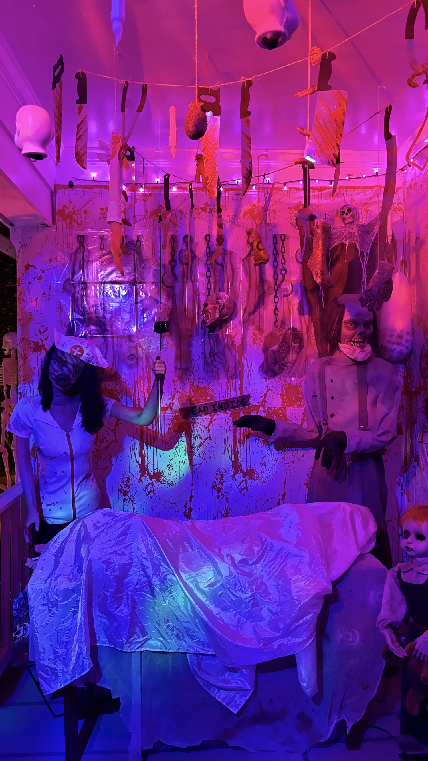 The Catalina Haunt