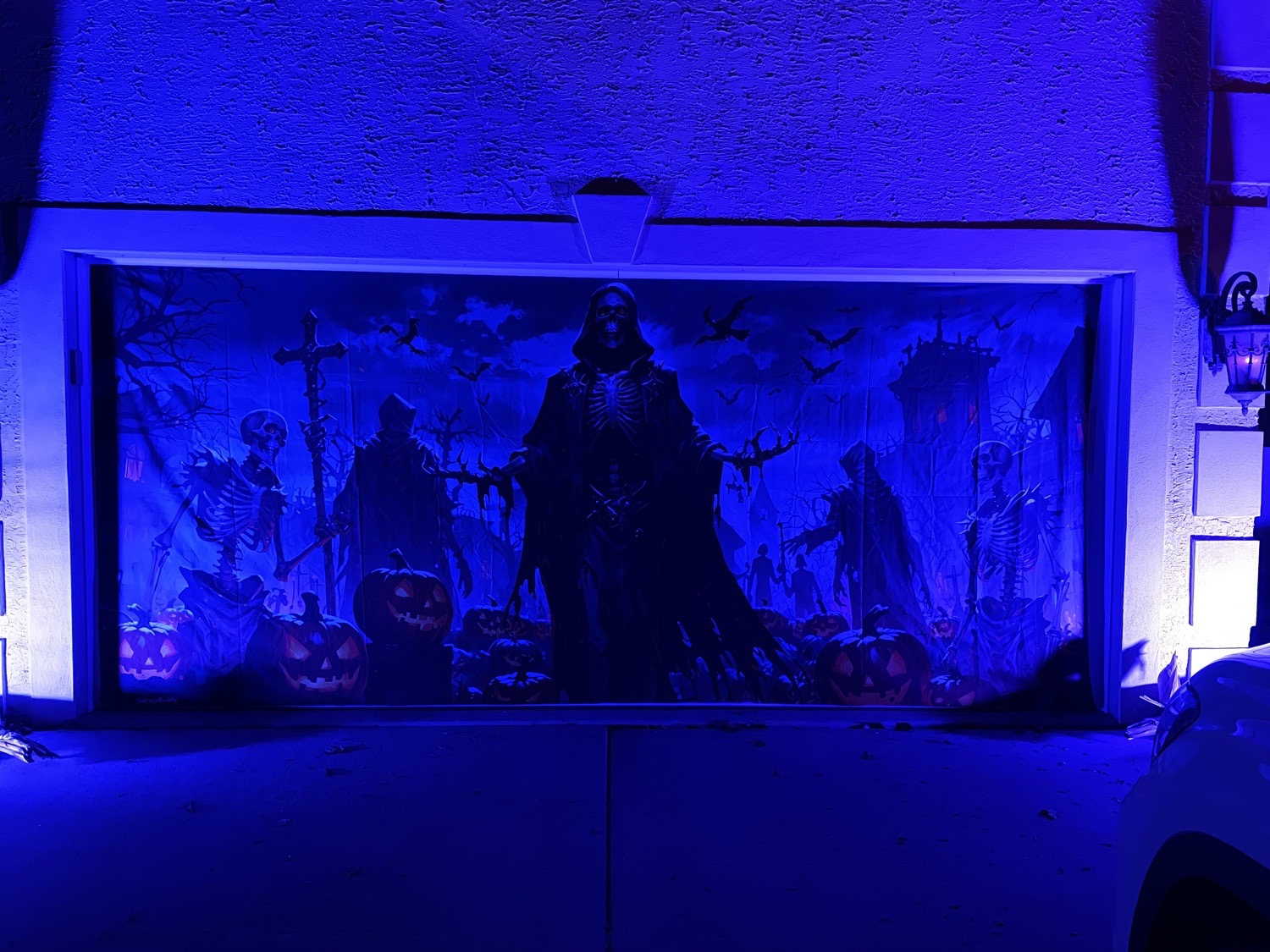 Terror On Trakenner