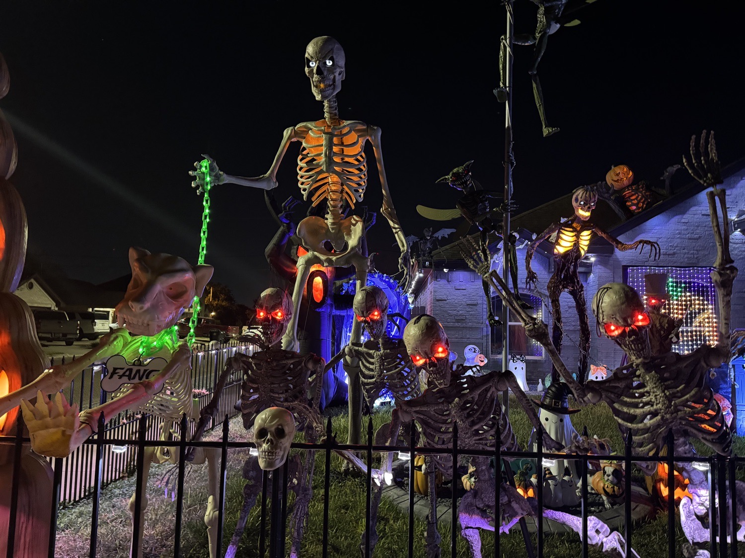 Lights & Frights on Bowie