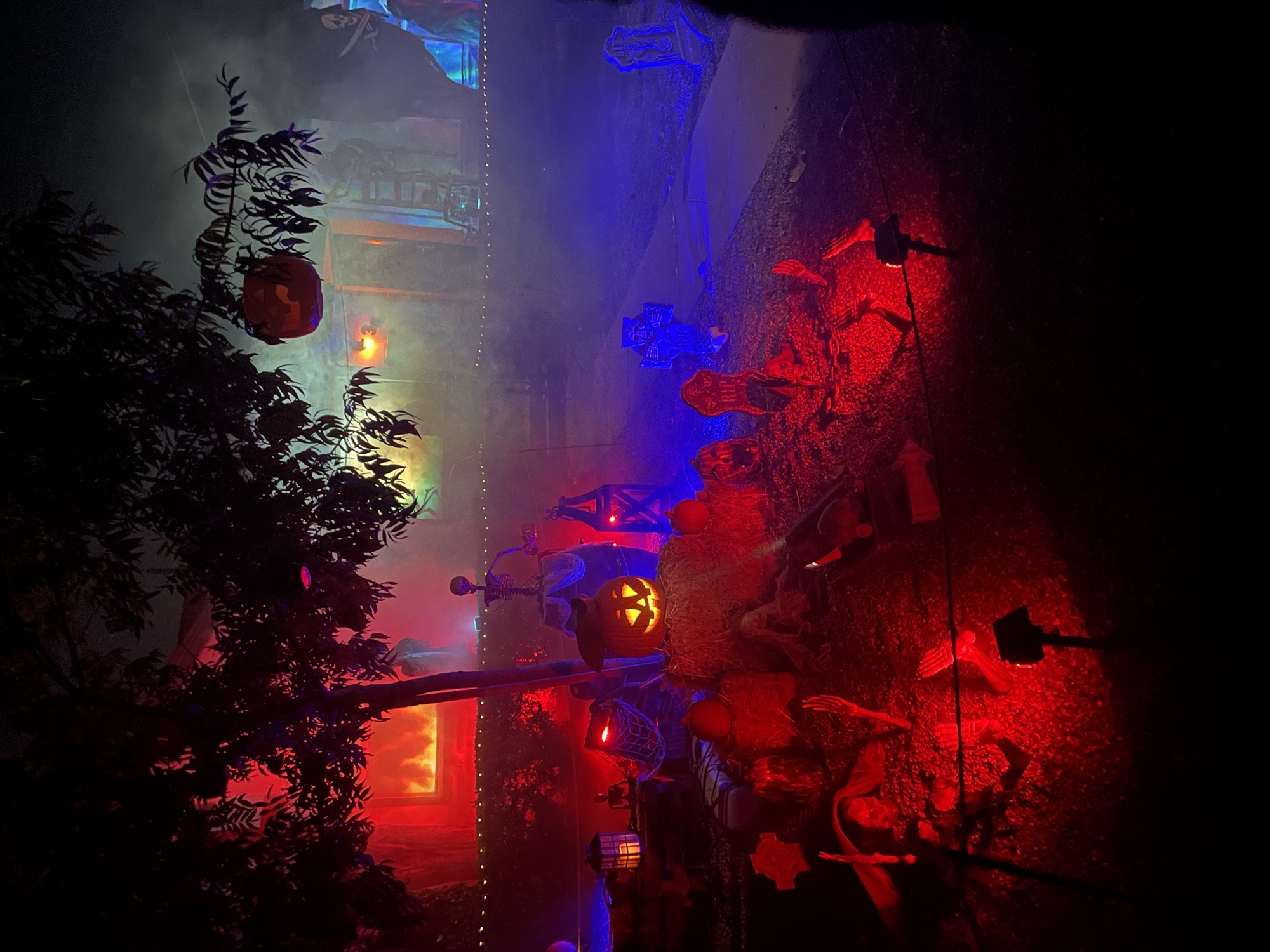 Hallows Eve Lane