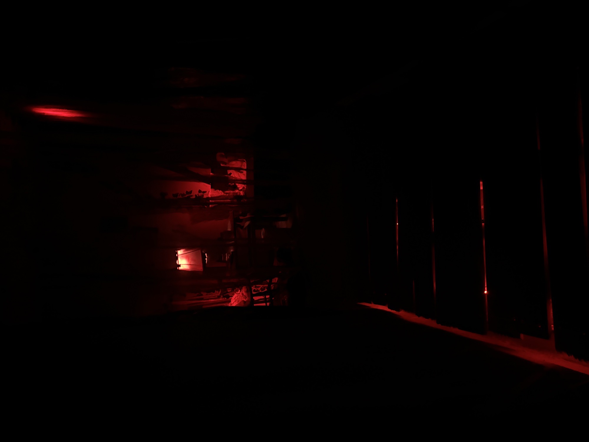 Grandmas Basement