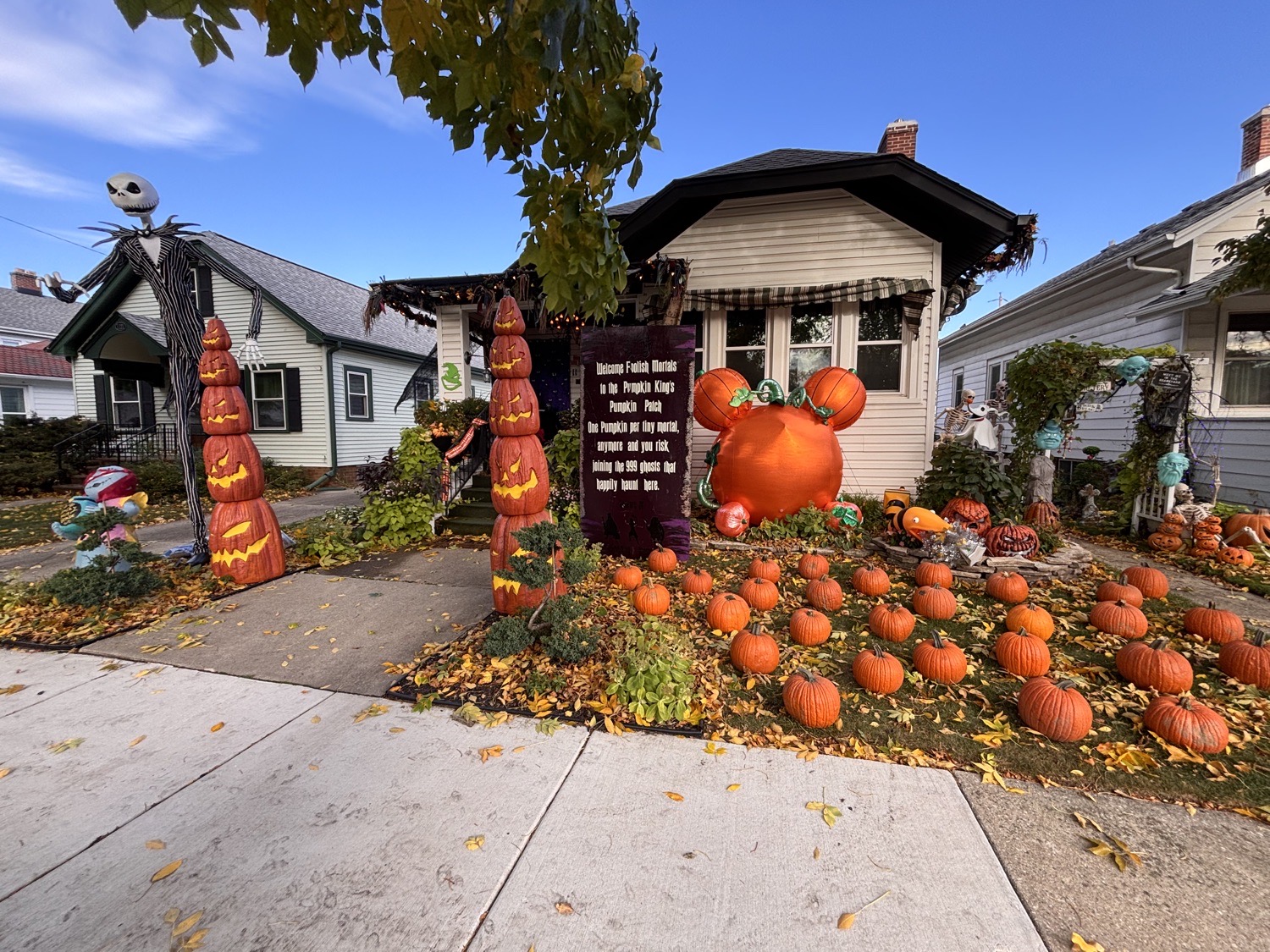 pumpkin Kings Neighborhood Pumpkin patch