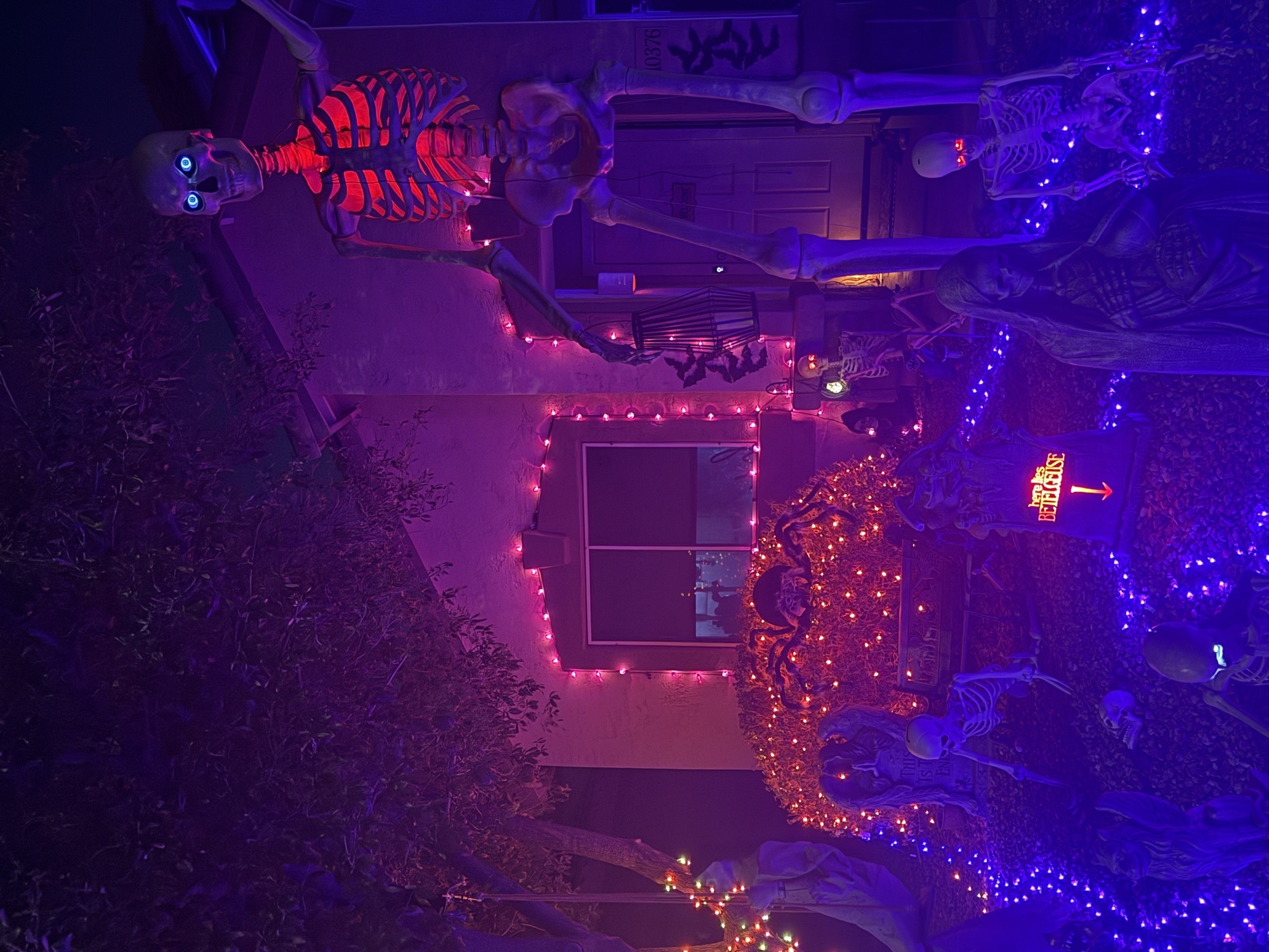 Boneyard Hollow