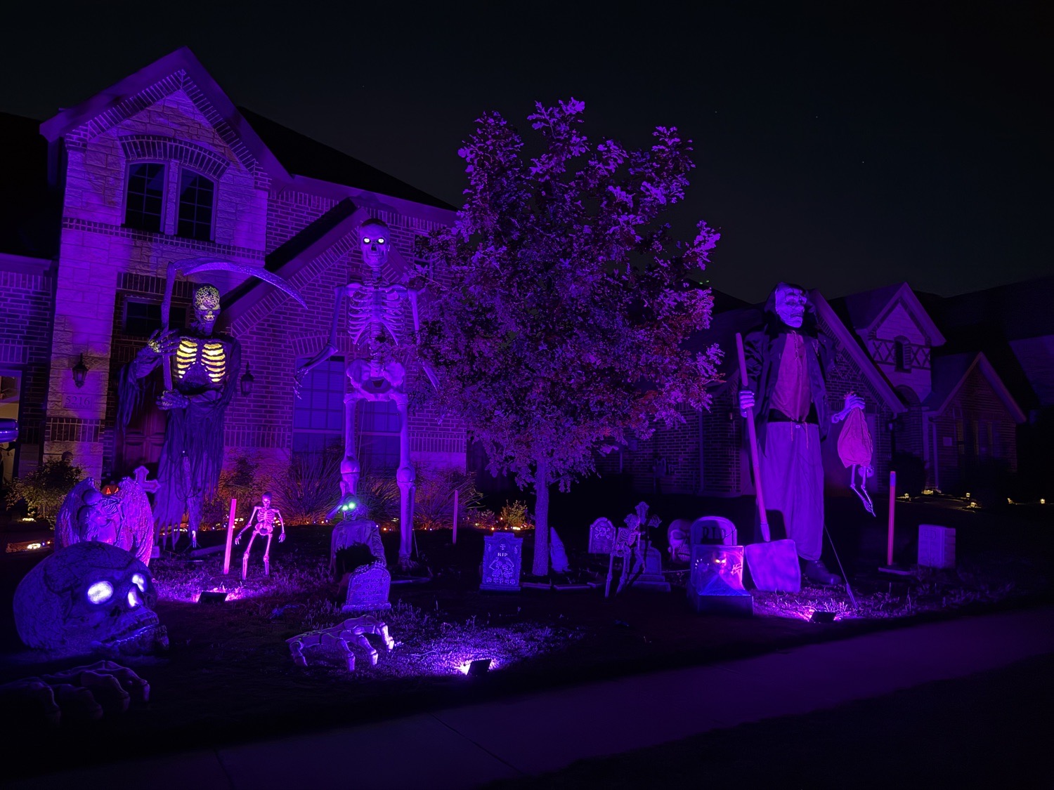 skellys house