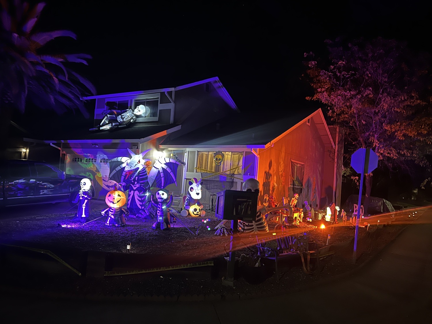 Skelly Land