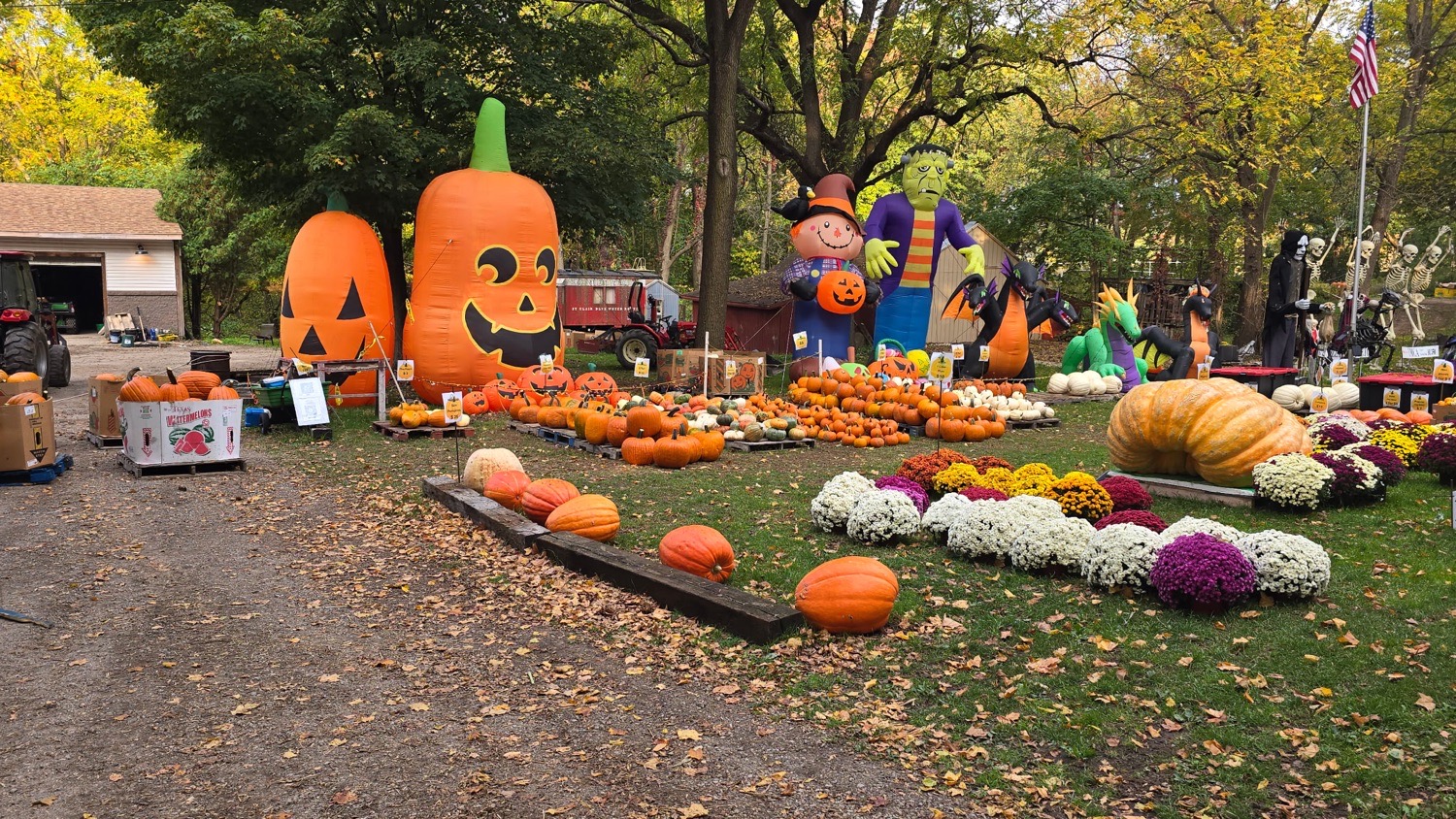 Pumpkins And Skeletons