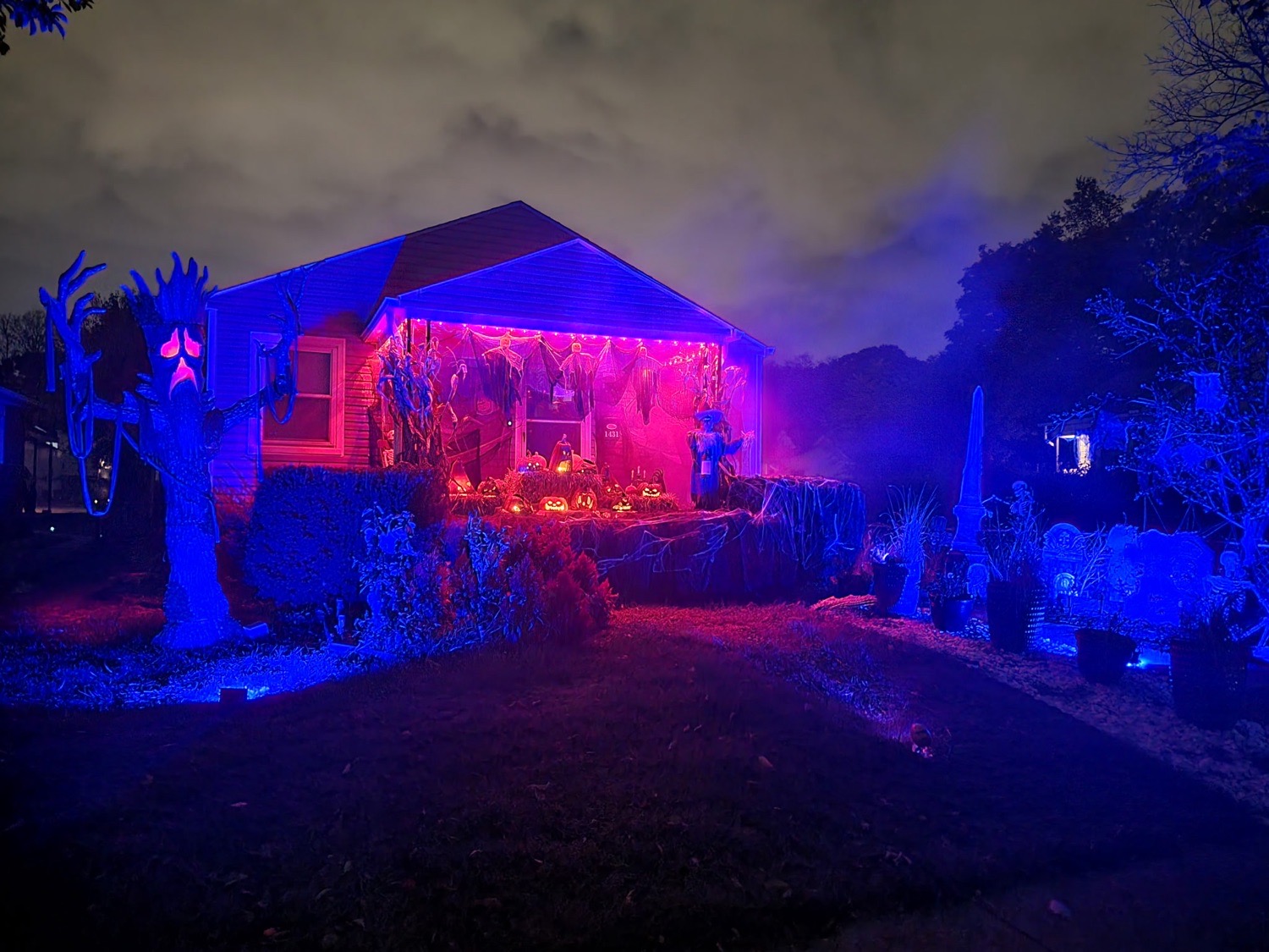The Forbidden House