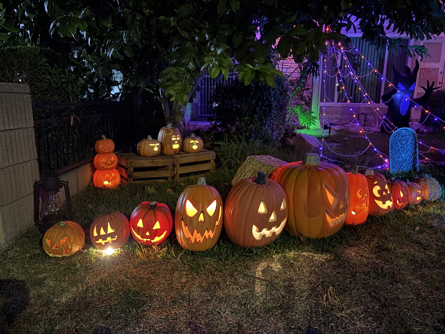 Jack O Lantern Jamboree