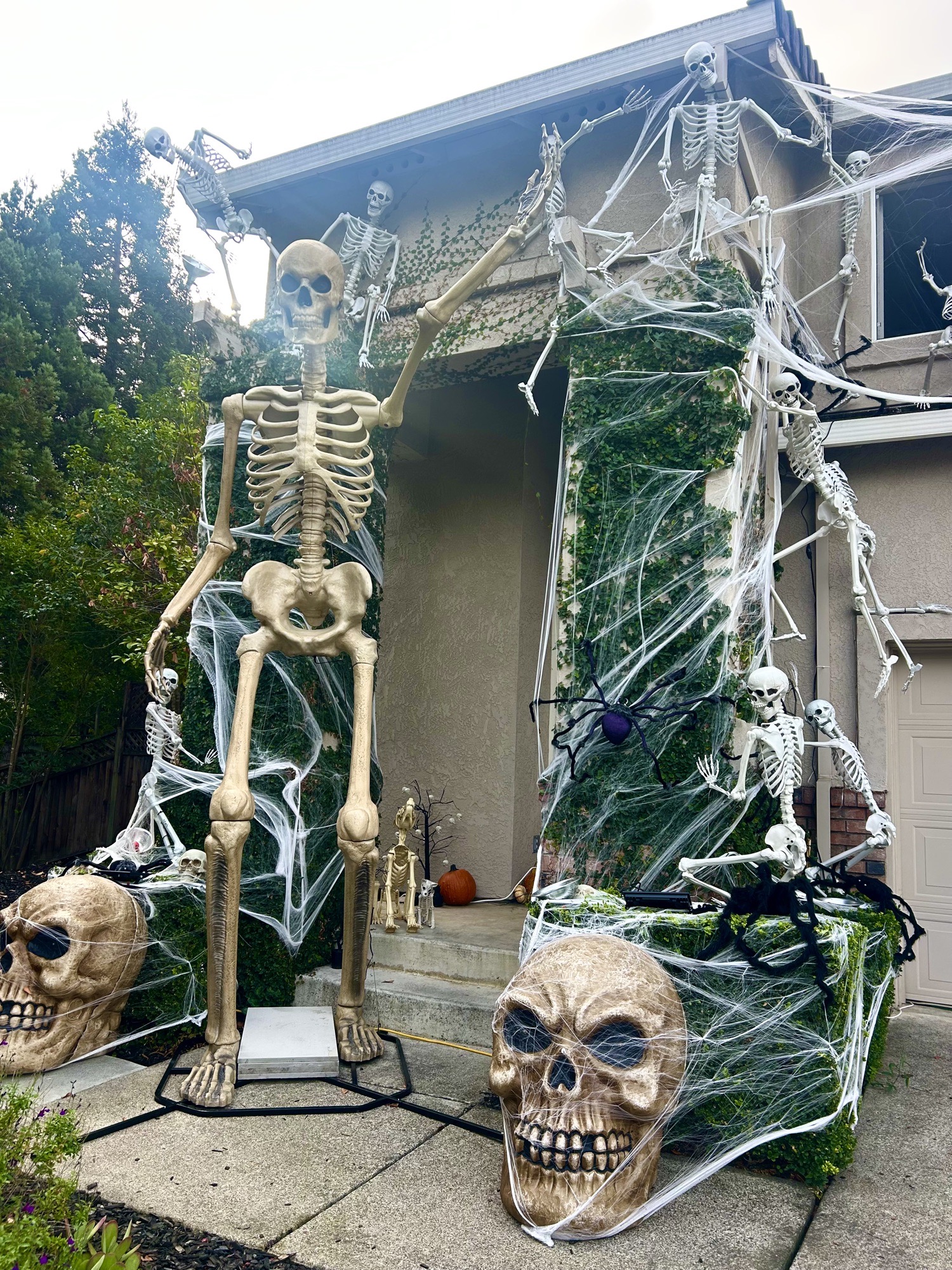 Skeleton Attack