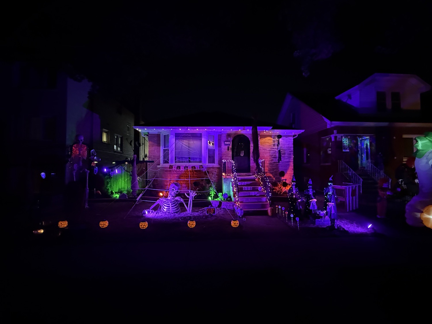Elmwood Bones!