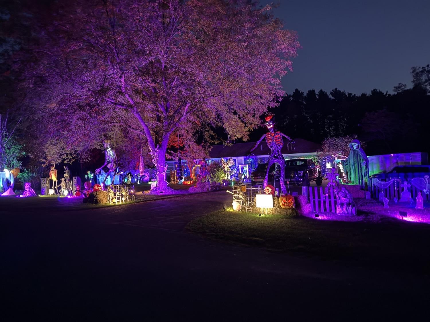 The Creeps On Baltic Drive