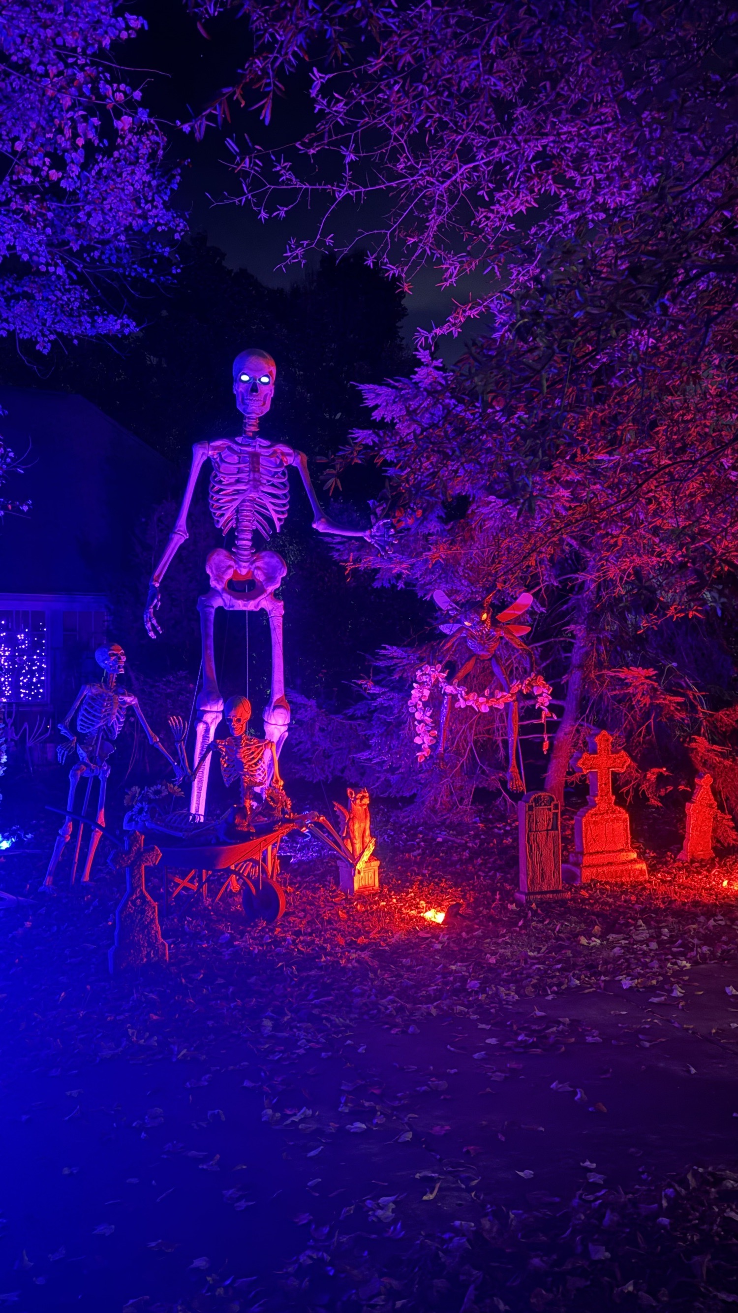 Haunted Gardens