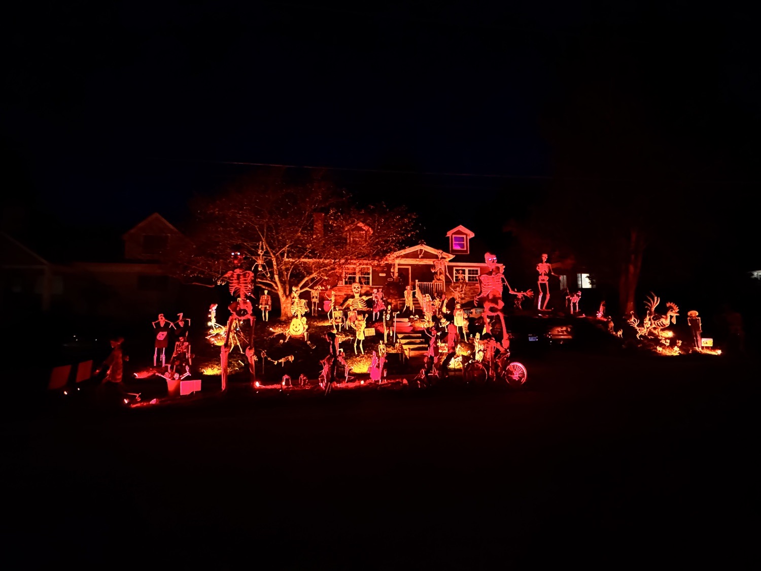 Skeleton House