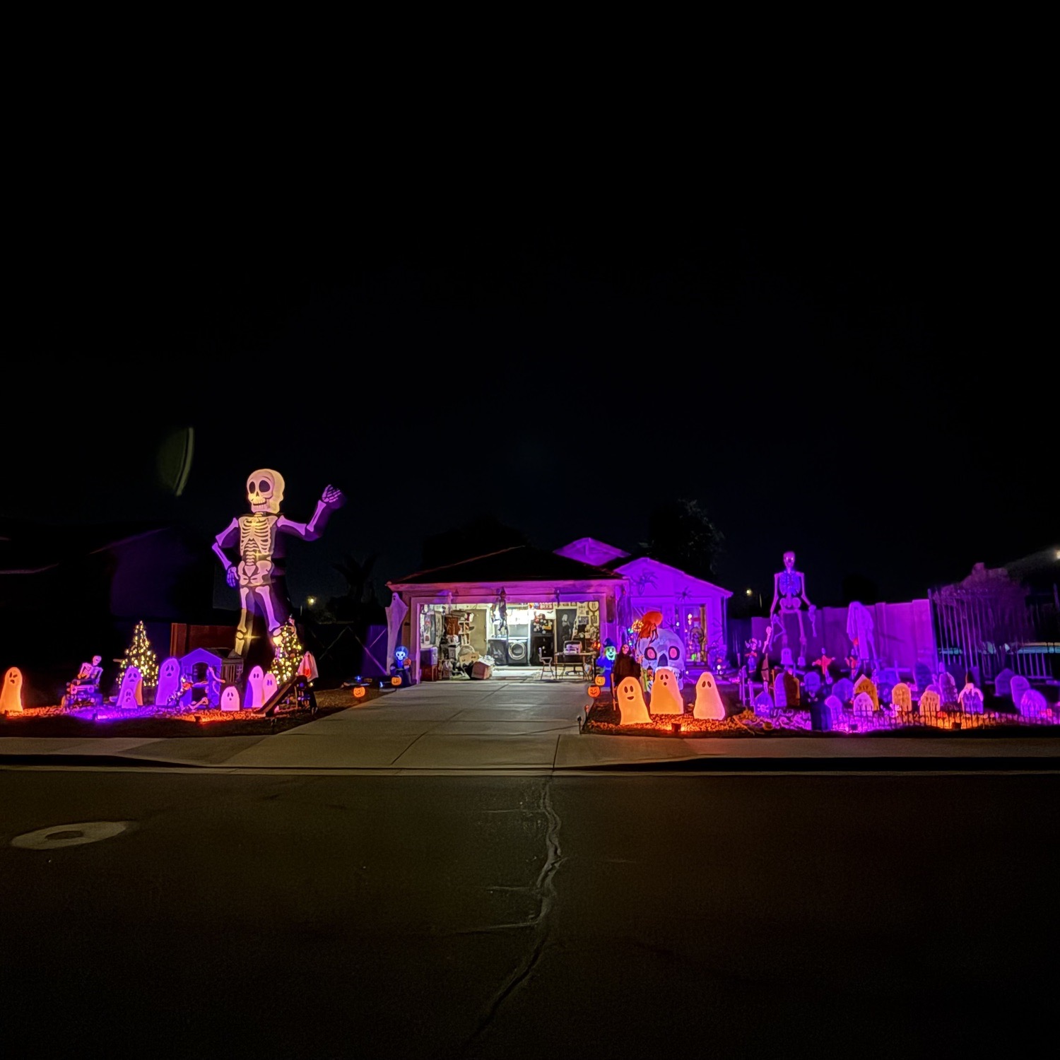 Skeleton House