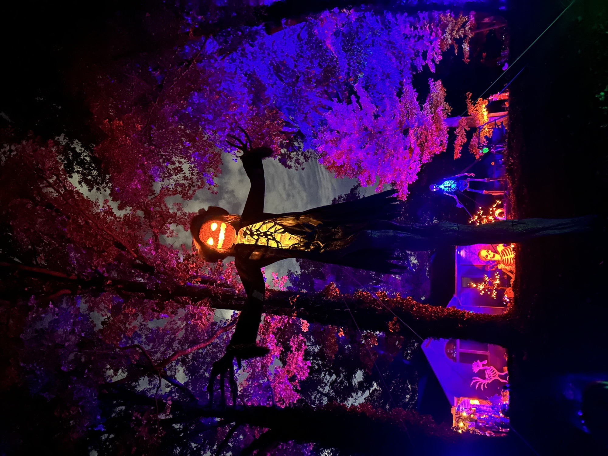 Haunted Sternspinner Trail
