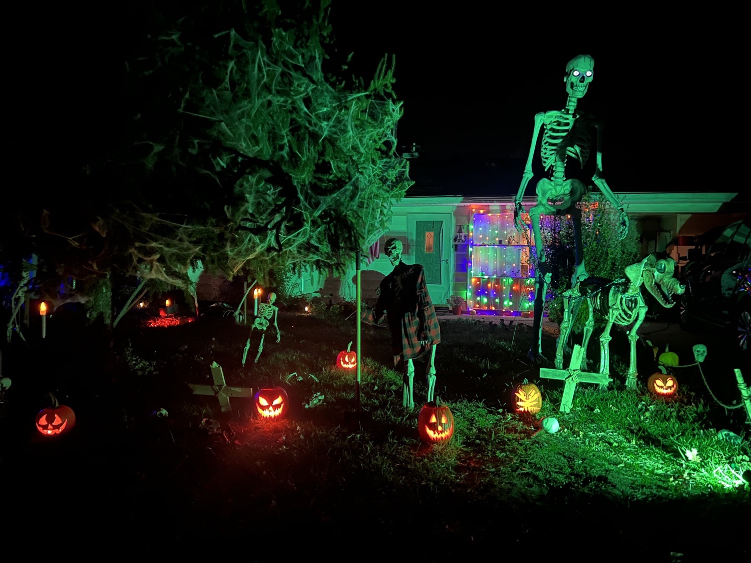 Skelly House