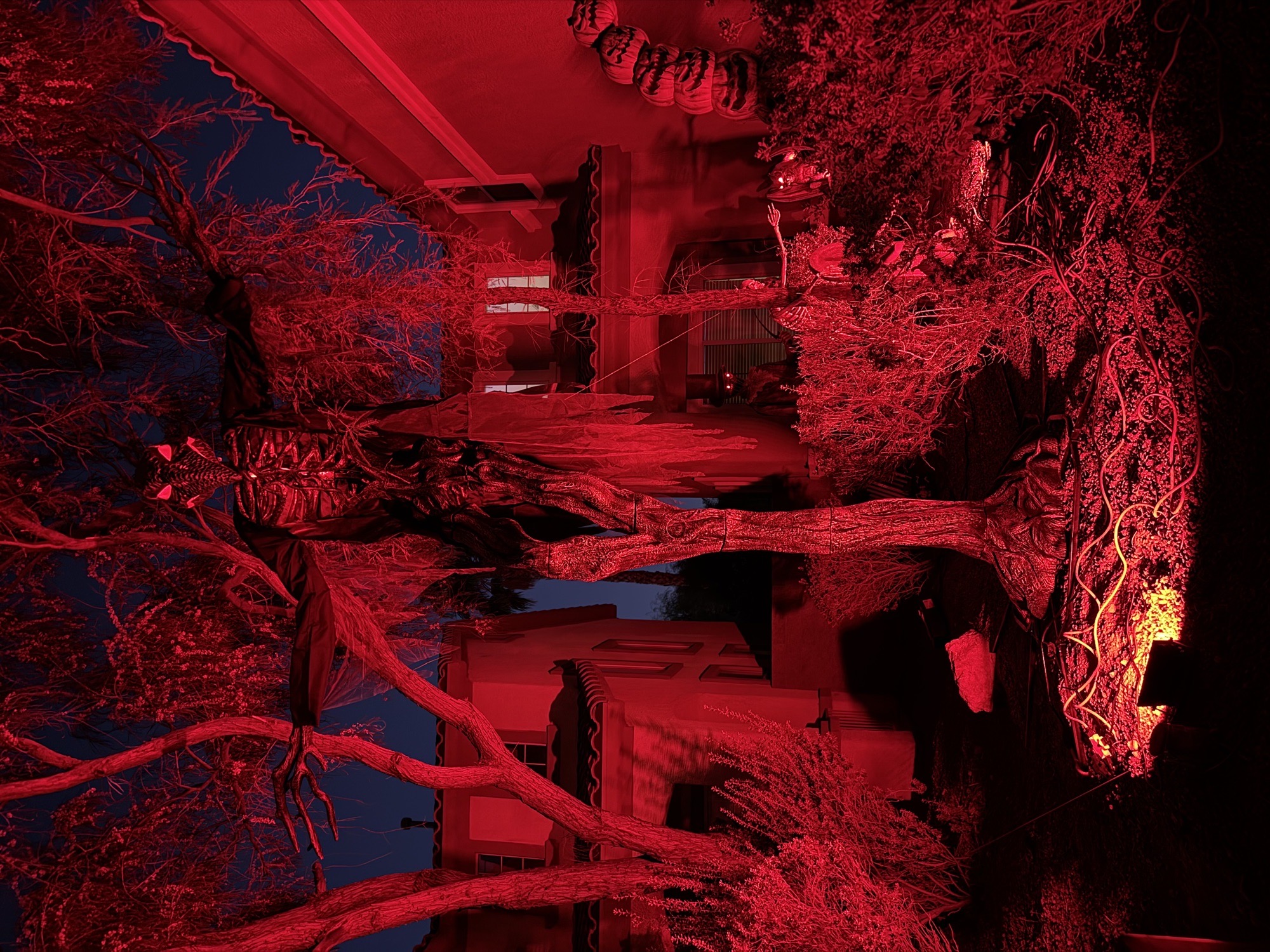 Spooktacular House!