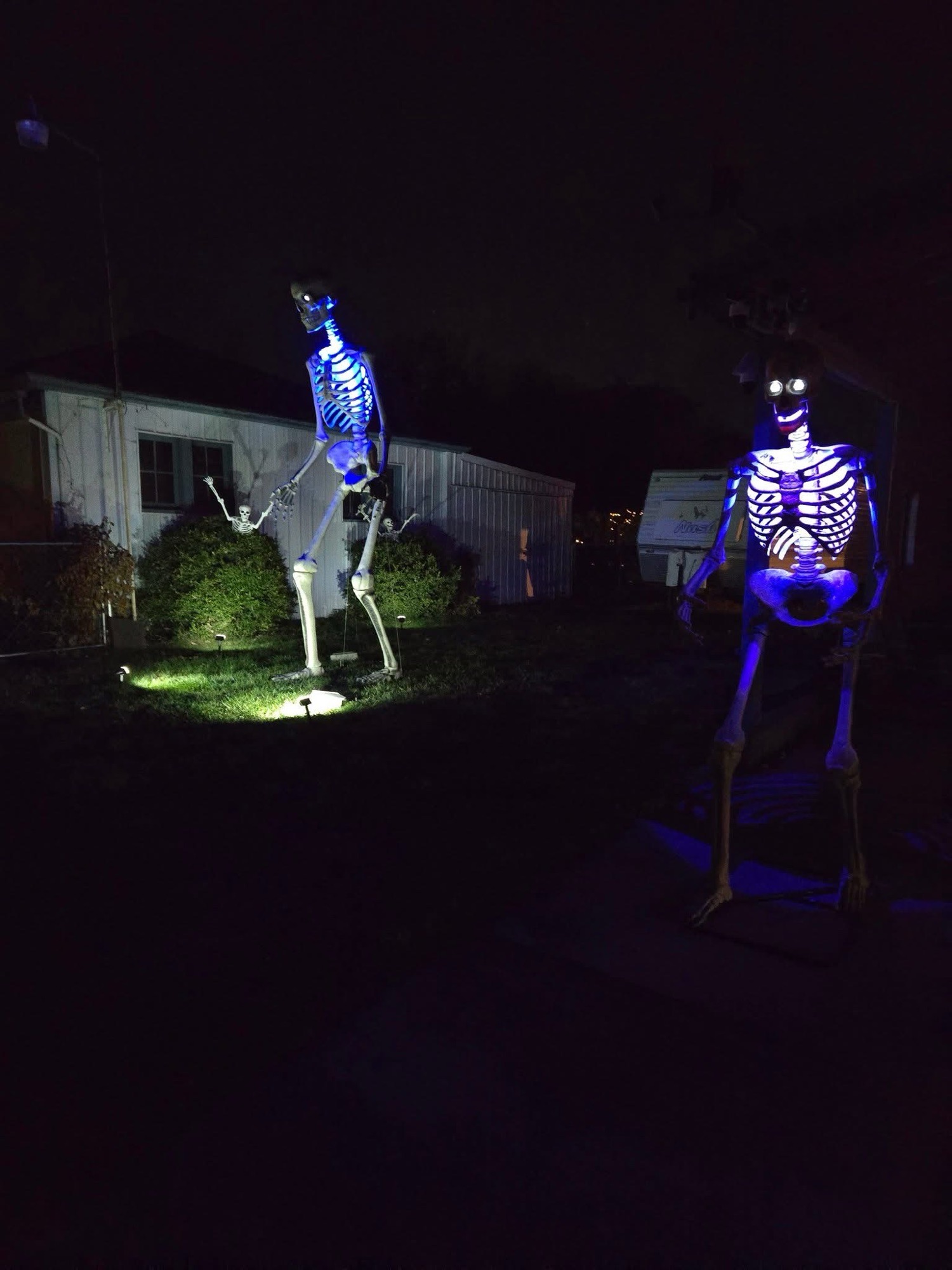 1308 N Willow St. LG