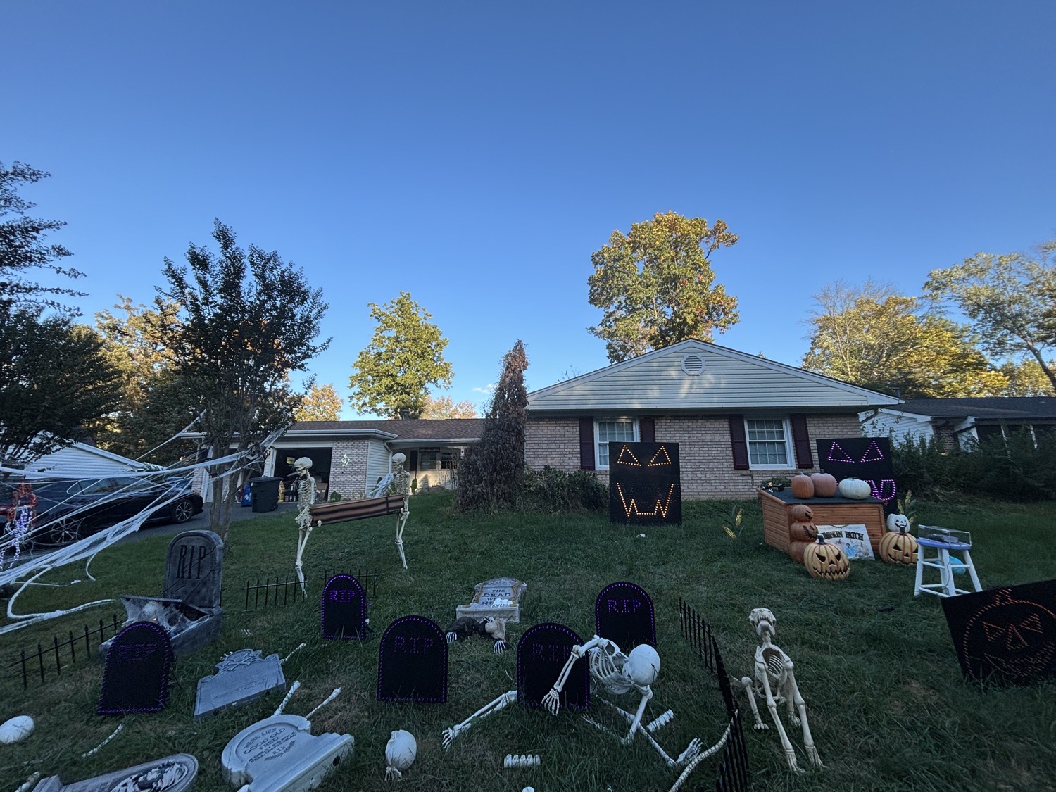 Halloween Light Show in Fairfax, Virginia