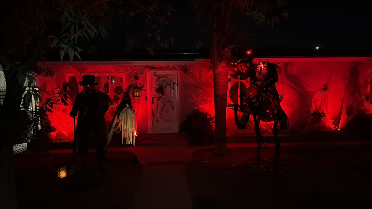 Spider House