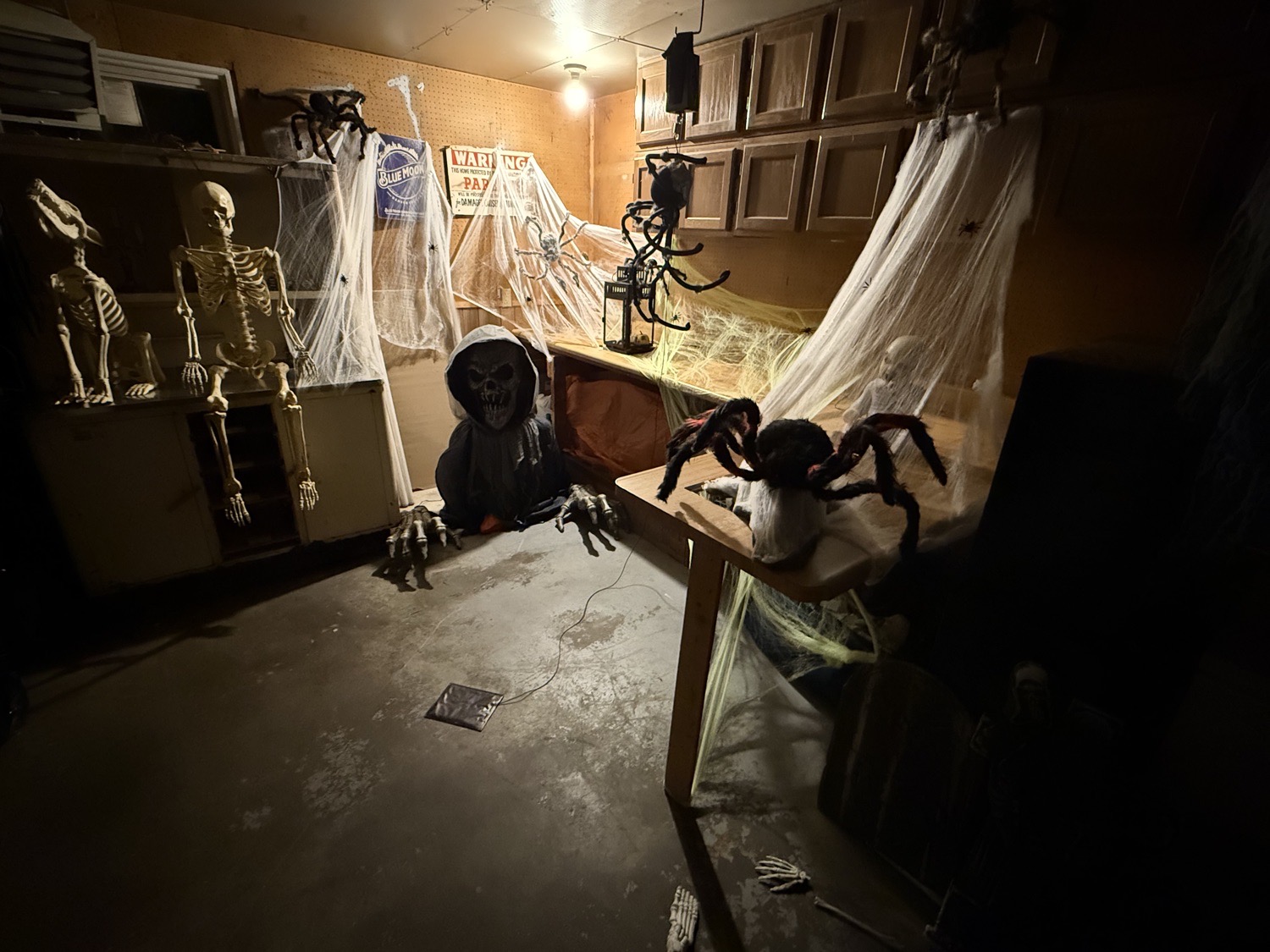 Zander’s House Of Horrors