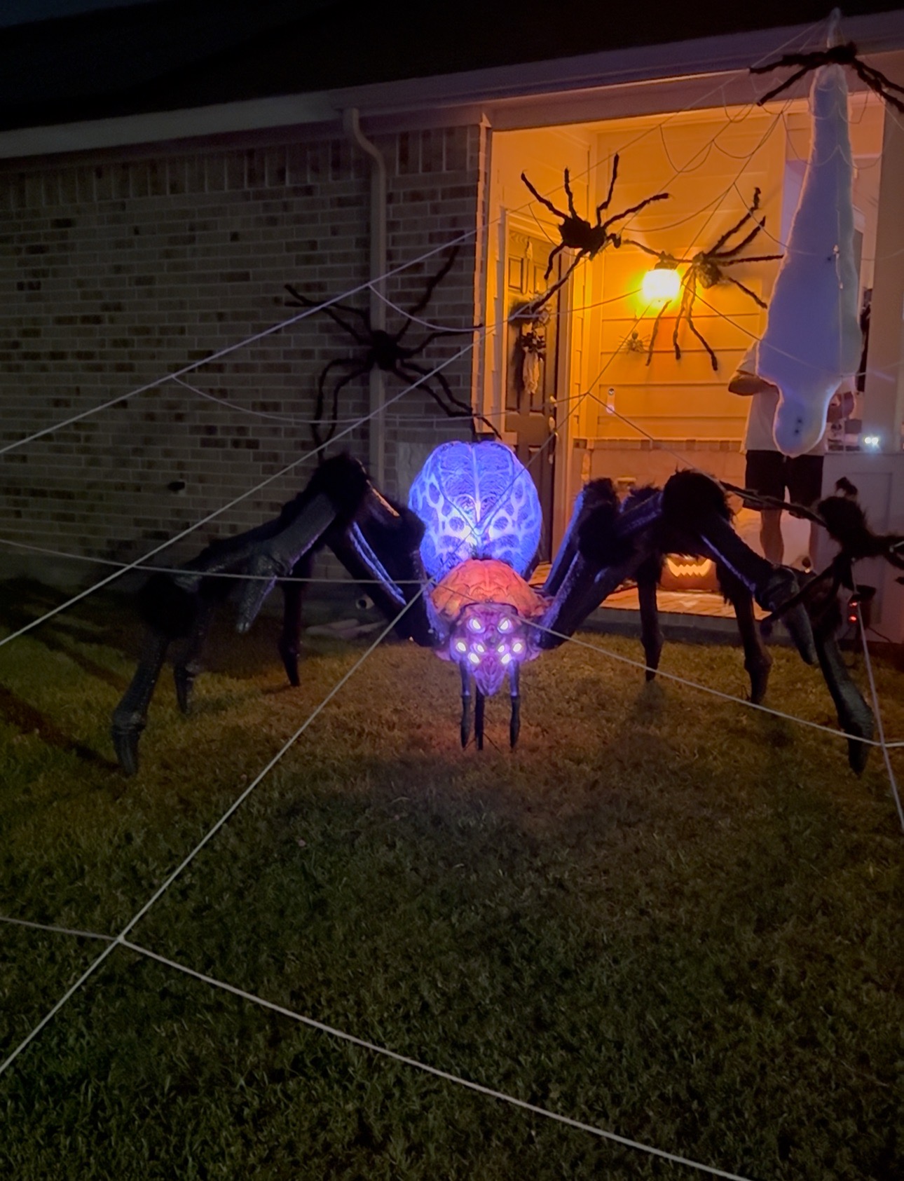 Spider House