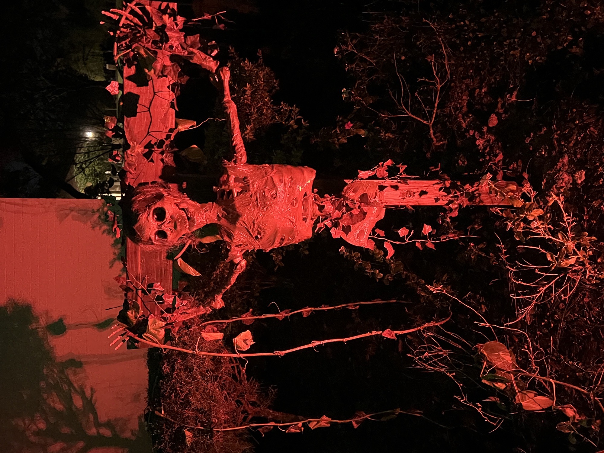 Haunted Maze and Trick Or Treat