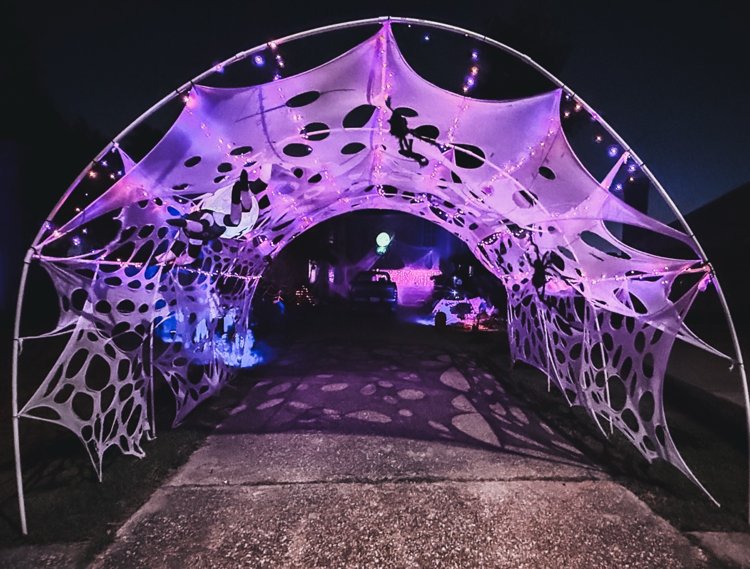 The Spider Lair