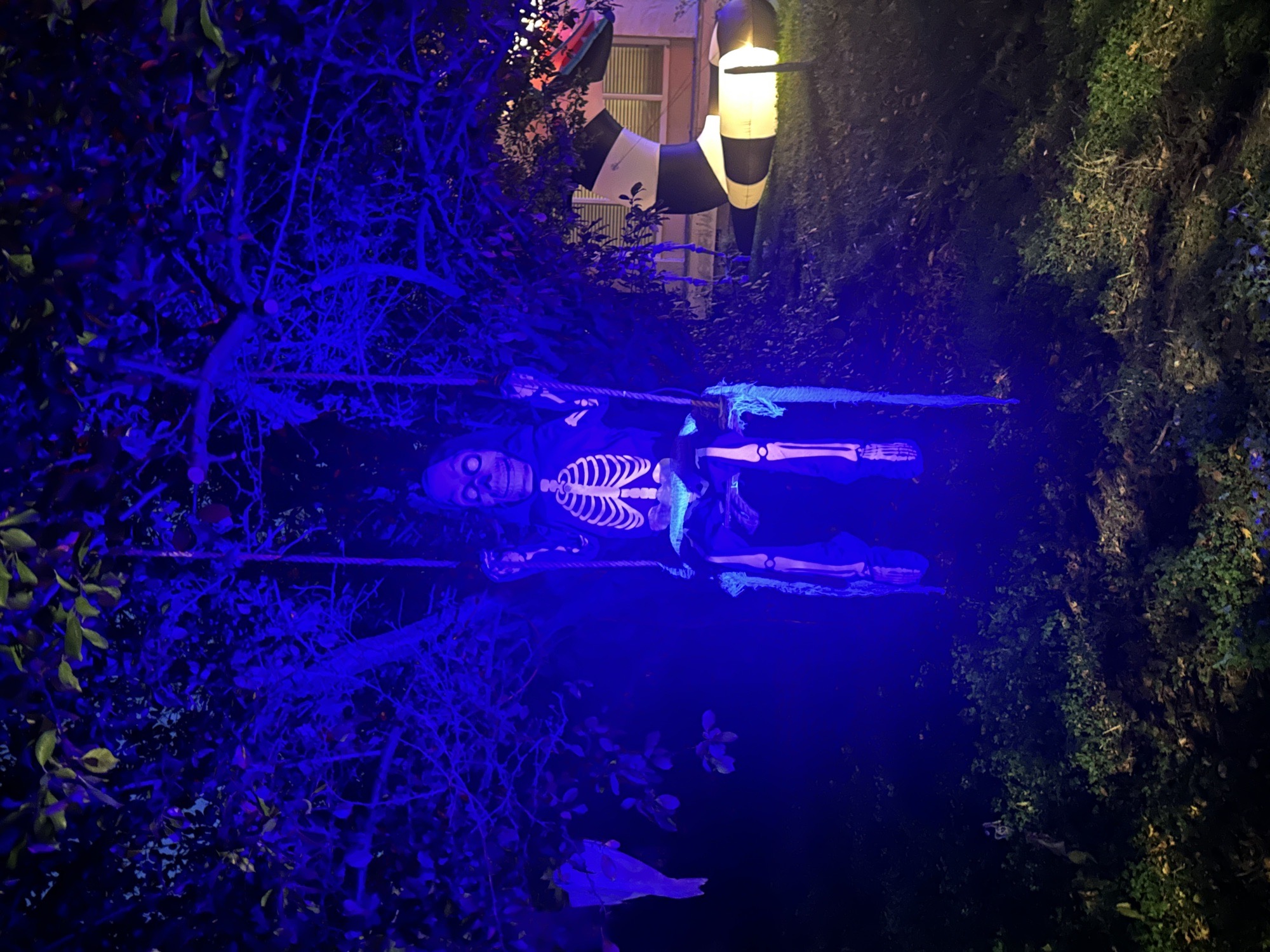 Canyon Heights Haunt