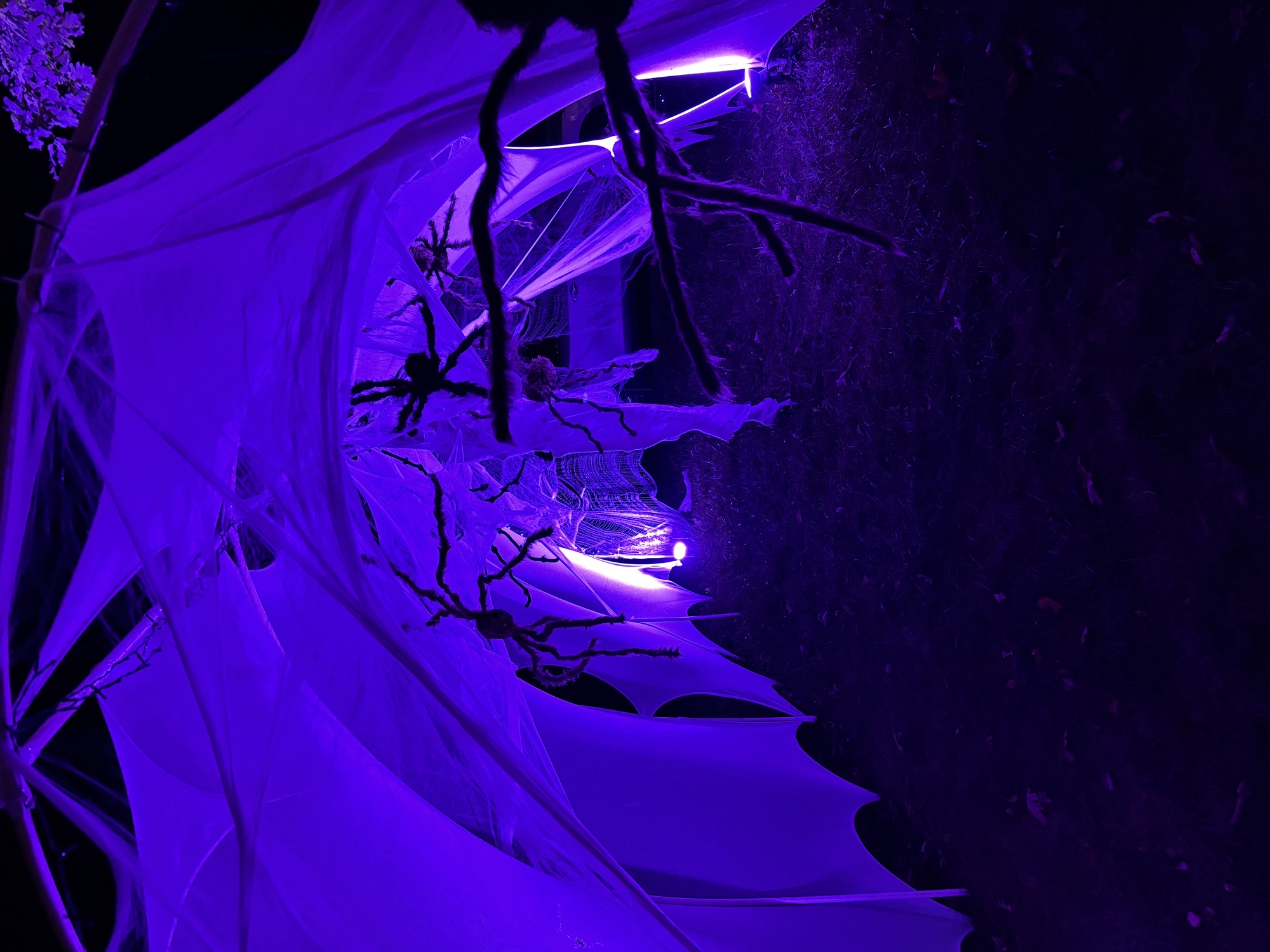 Waterford Haunted Maze