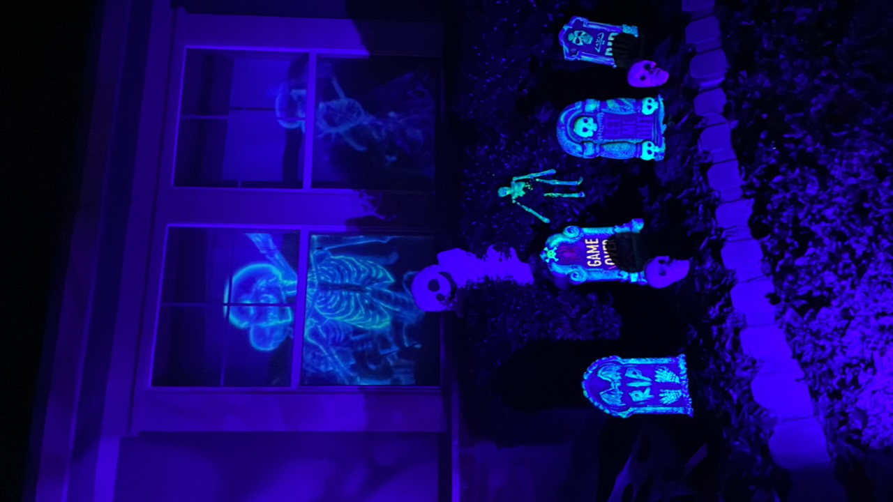 Skelton Party