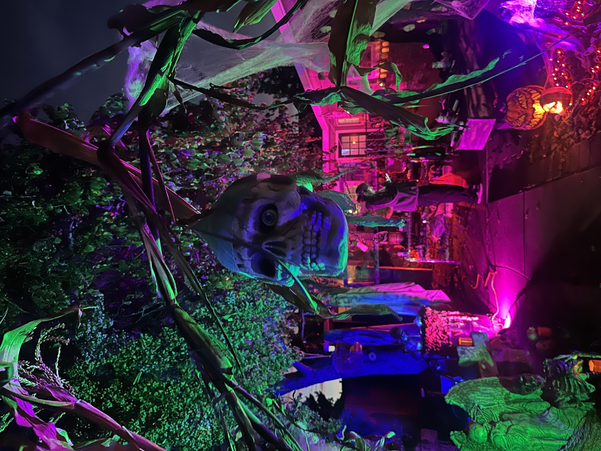 Lodi Haunted Yard