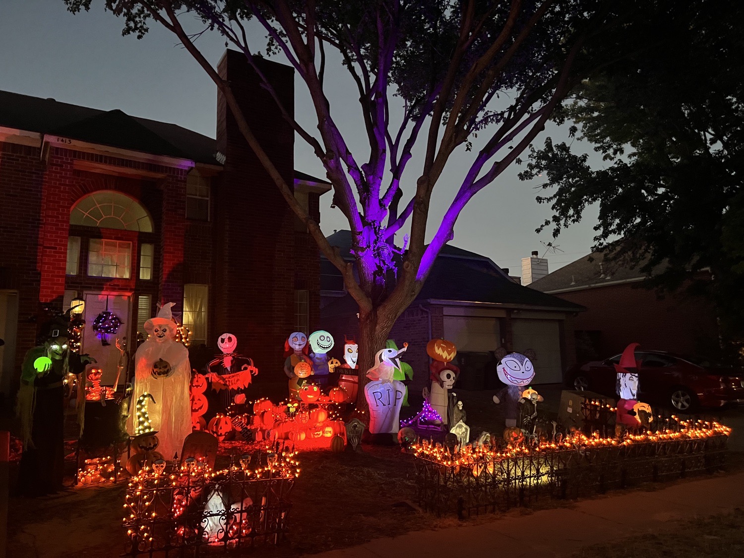 Chinaberry Scare Yard