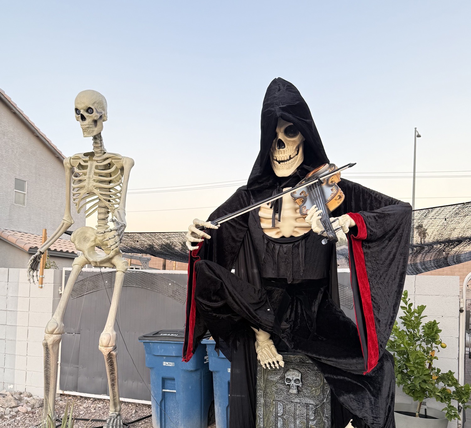 Scare Walk