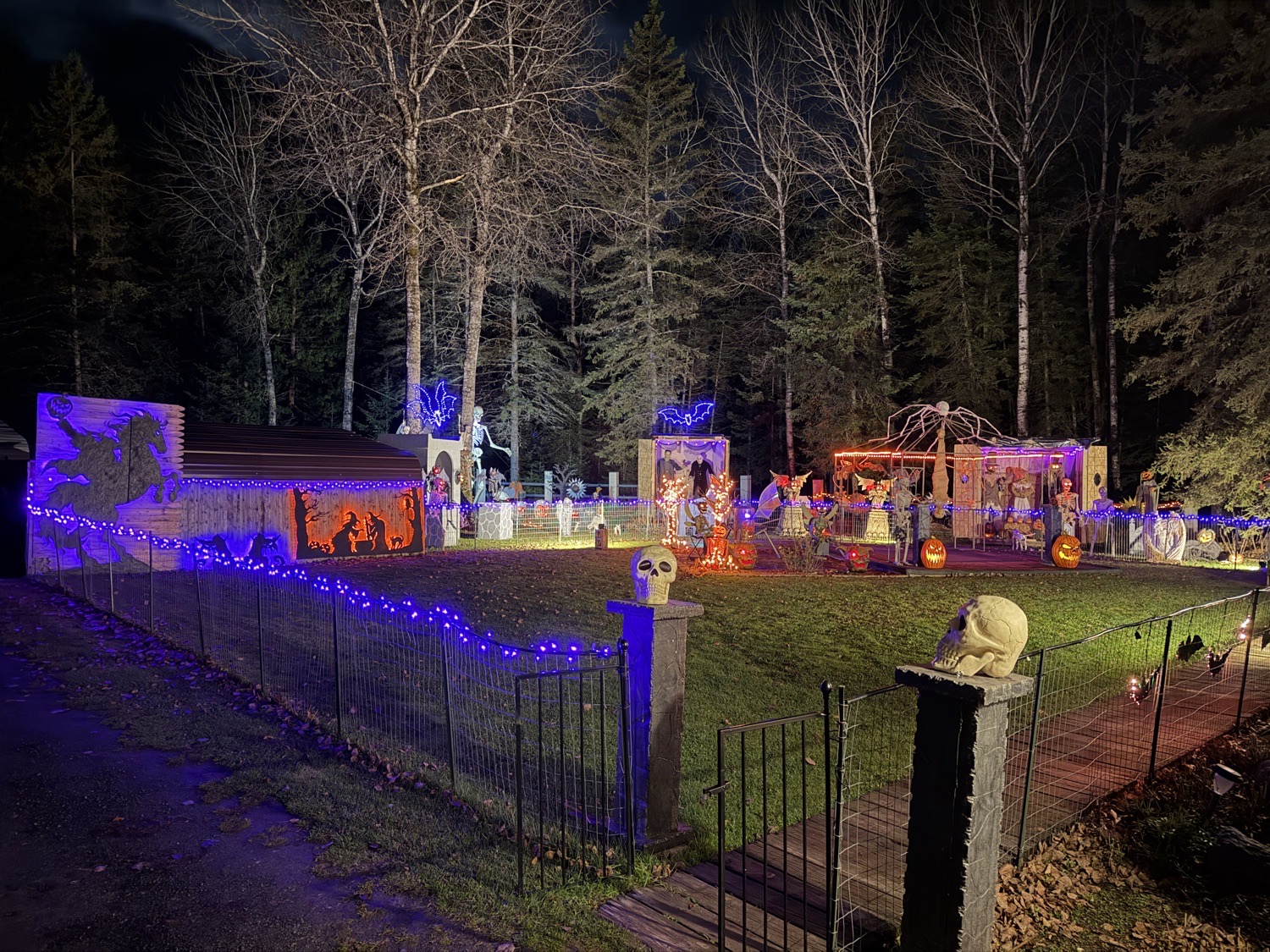 Meadowview Boneyard