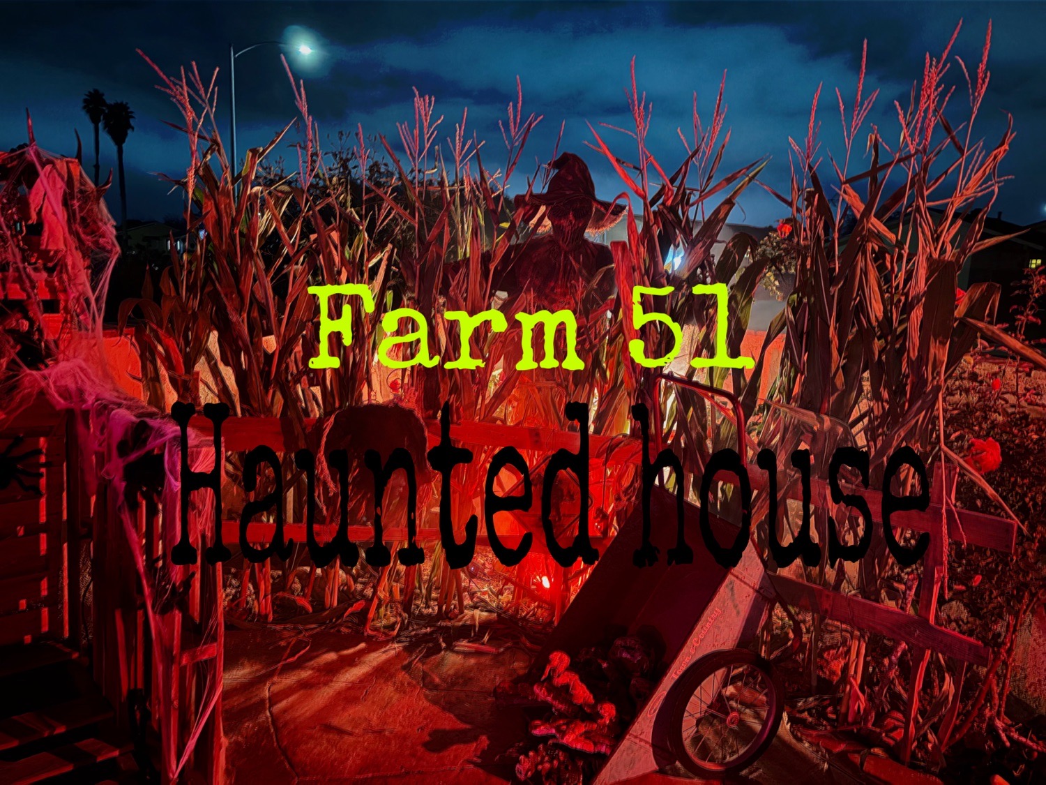 Farm 51