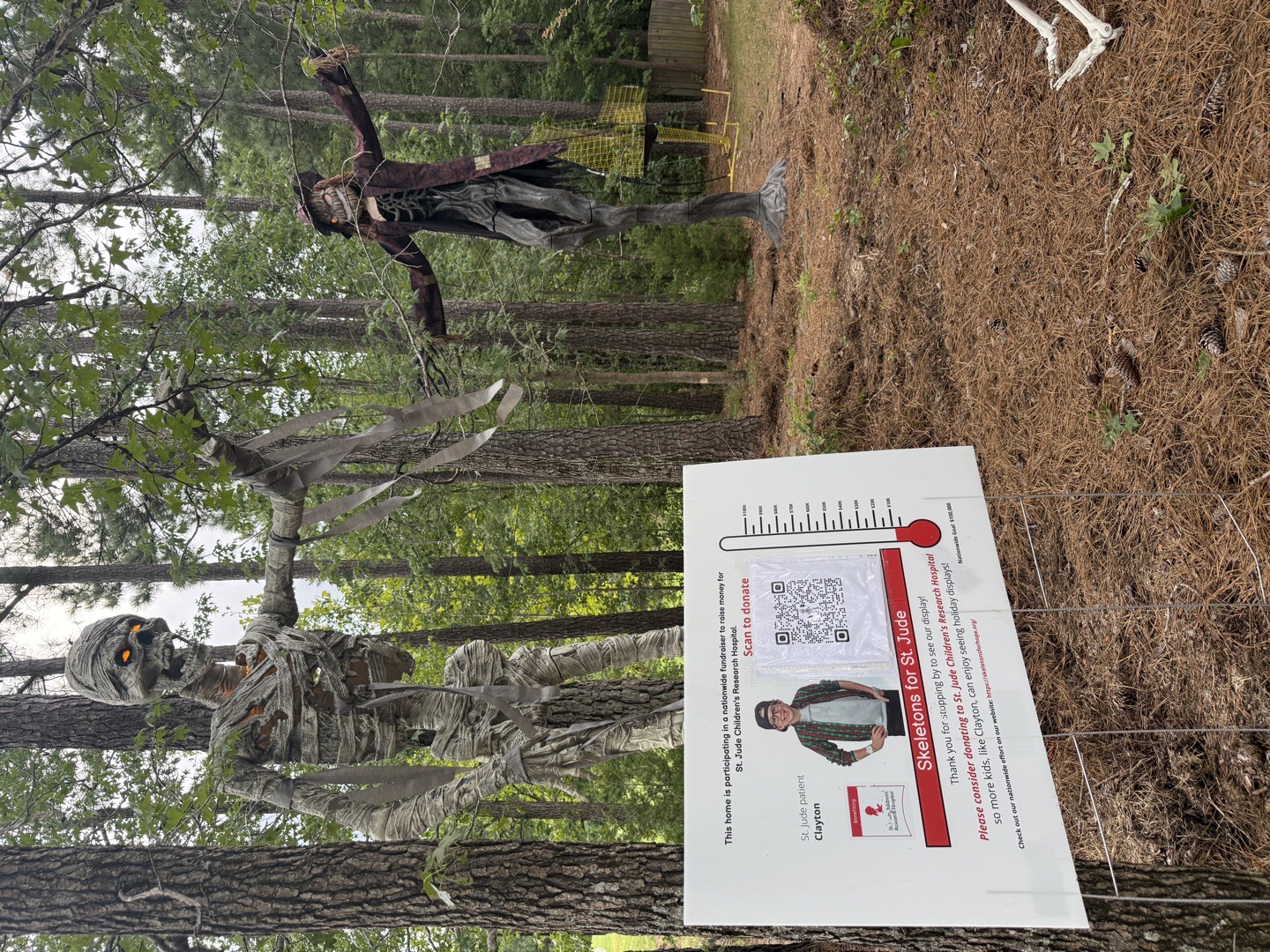 Woolley Skeletons for St. Jude Haunted Trail in Cary, North Carolina